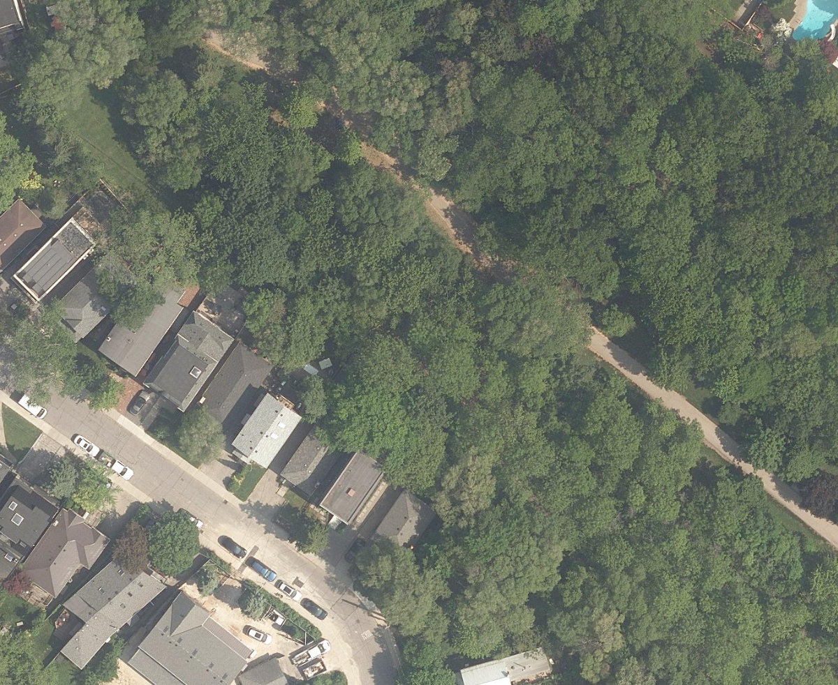 Cedarvale Park — site photograph