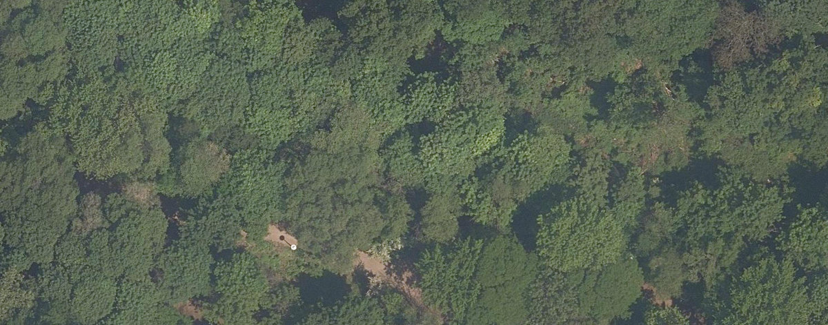 Nordheimer Ravine — aerial / top-down view