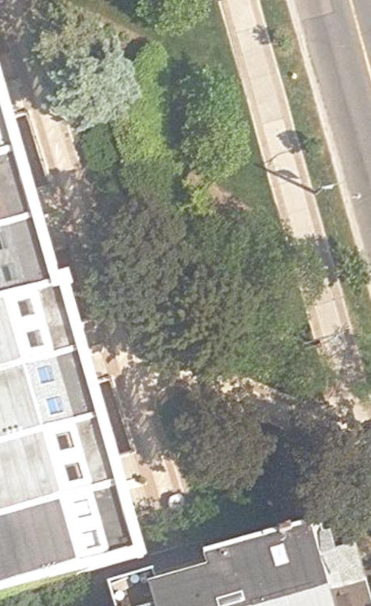 Spadina Road Green — site photograph