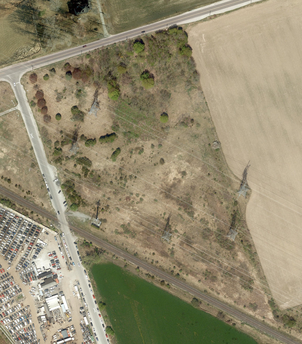 Rouge Park — site photograph