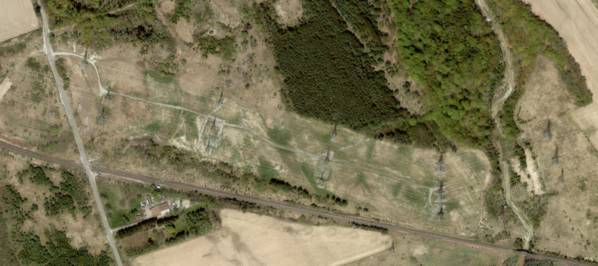 Rouge Park — site photograph