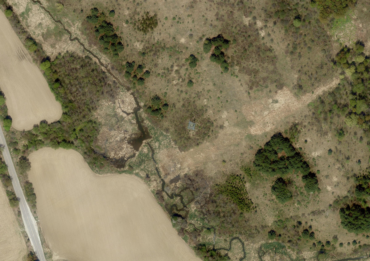 Rouge Park — site photograph