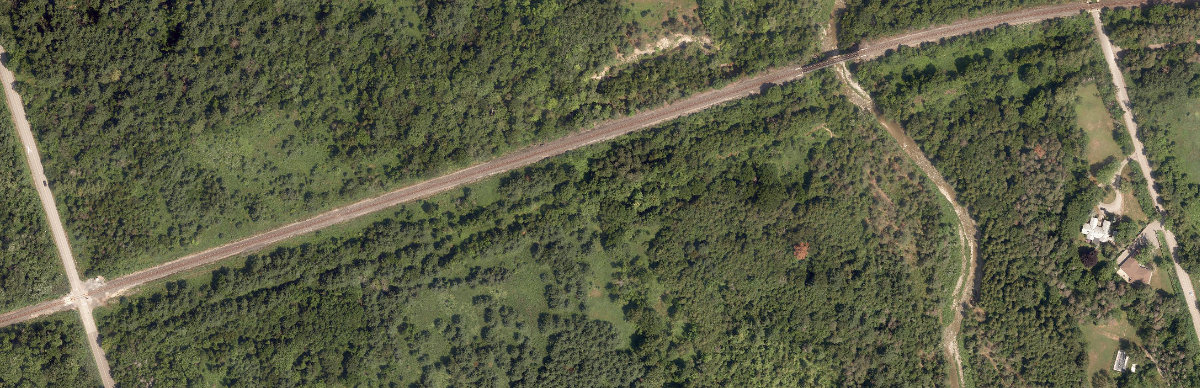 Rouge Park — site photograph