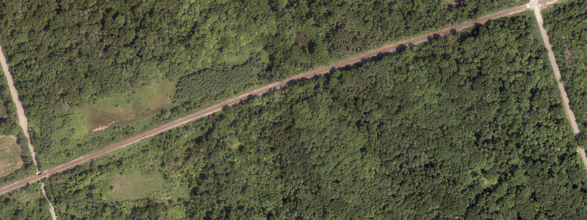 Rouge Park — site photograph
