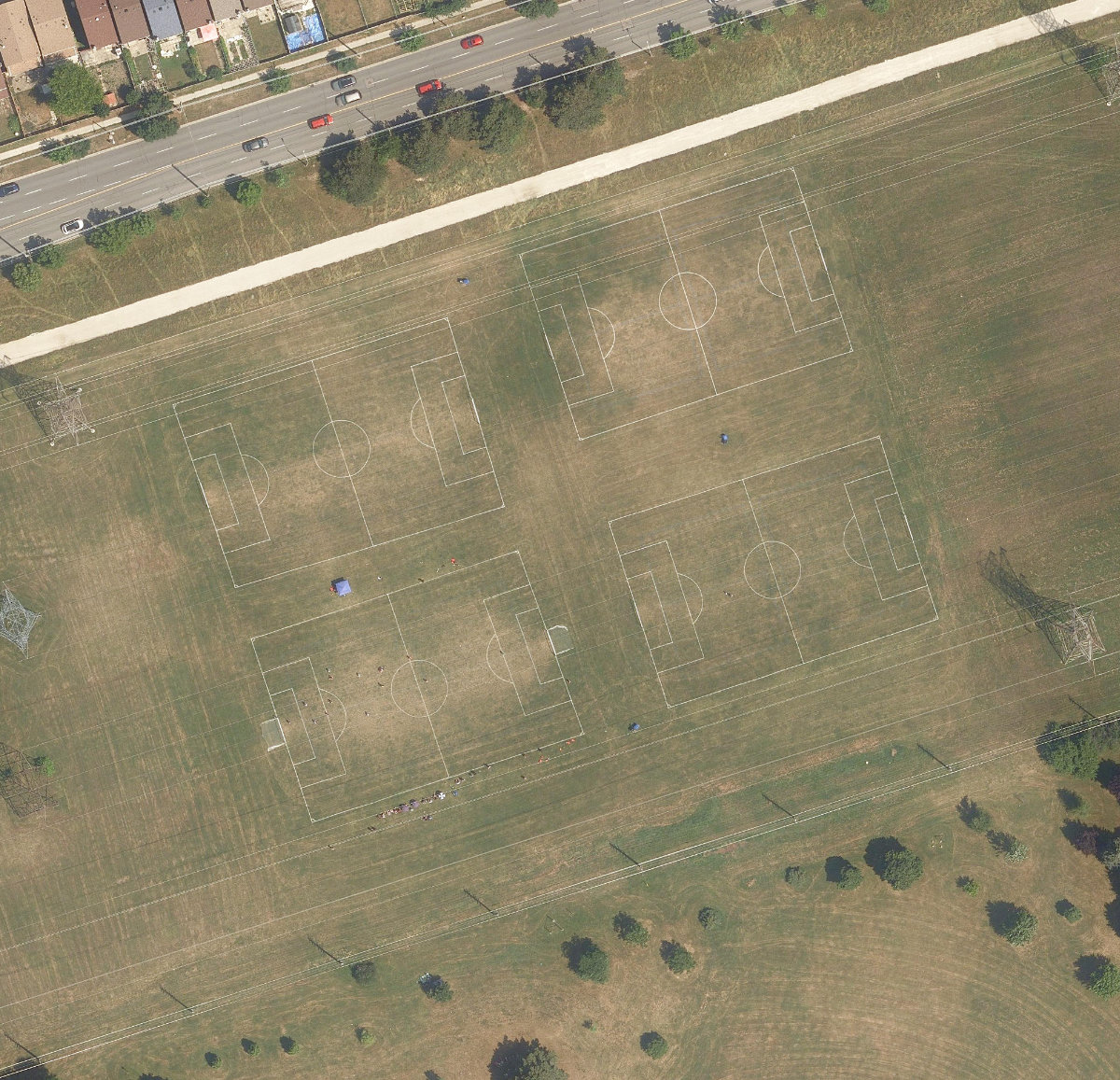 Warden Park — site photograph