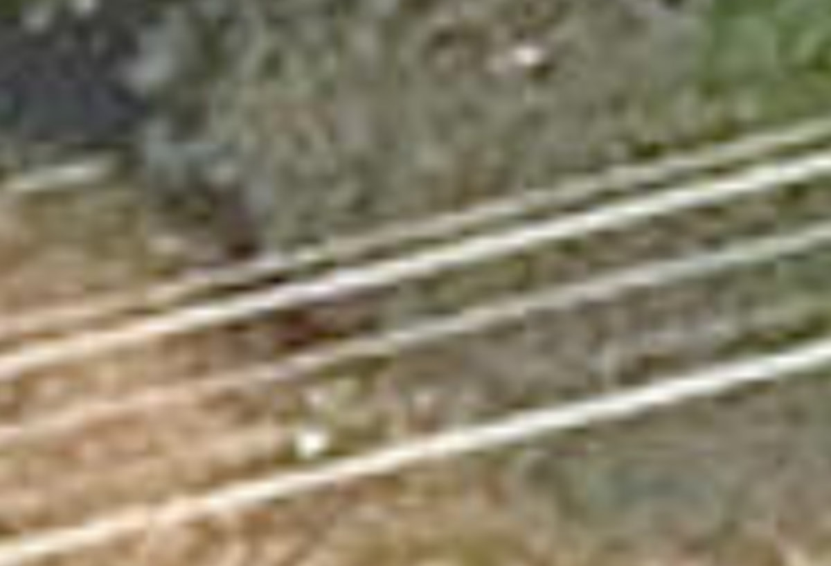 North York Hydro Green Space — site photograph