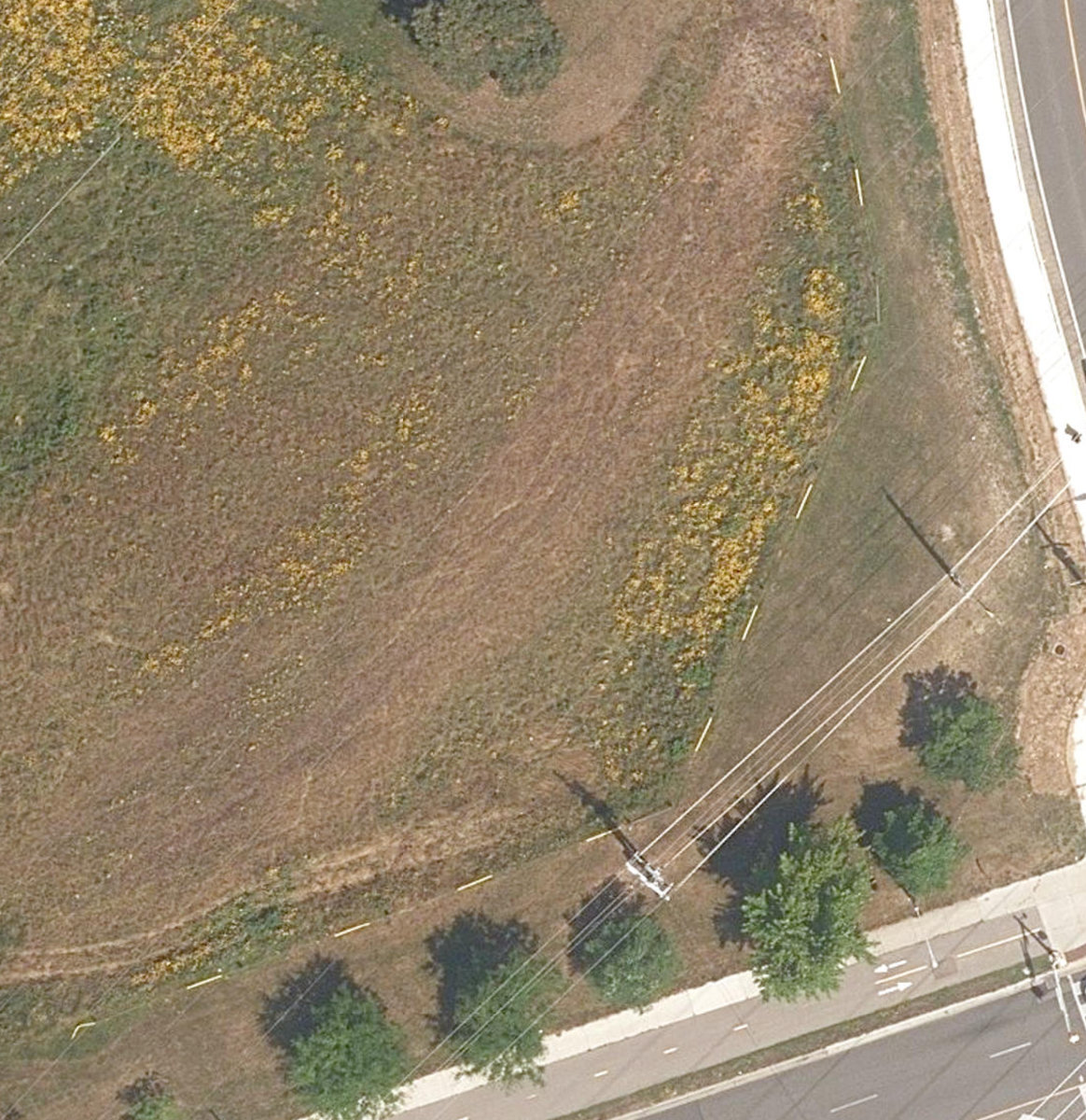 Scarborough Hydro Green Space — site photograph