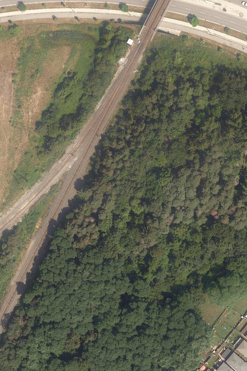 City Wide Open Space — site photograph