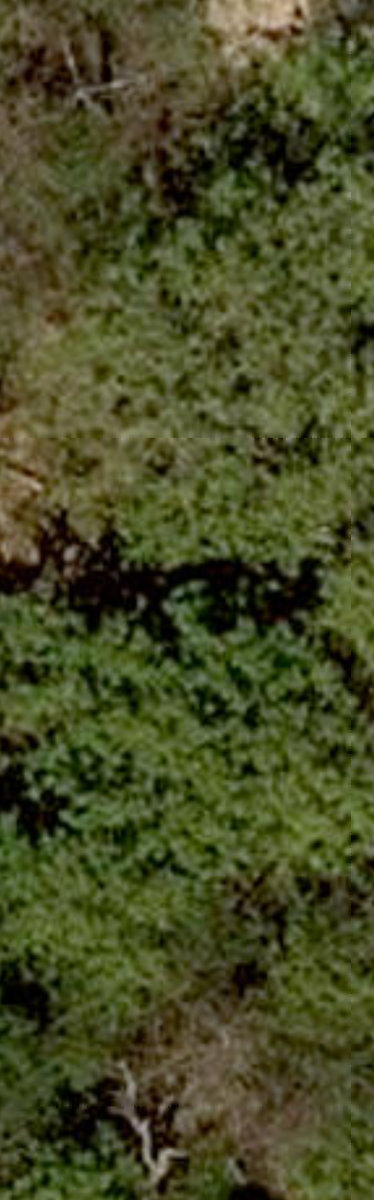 Rouge Park — site photograph