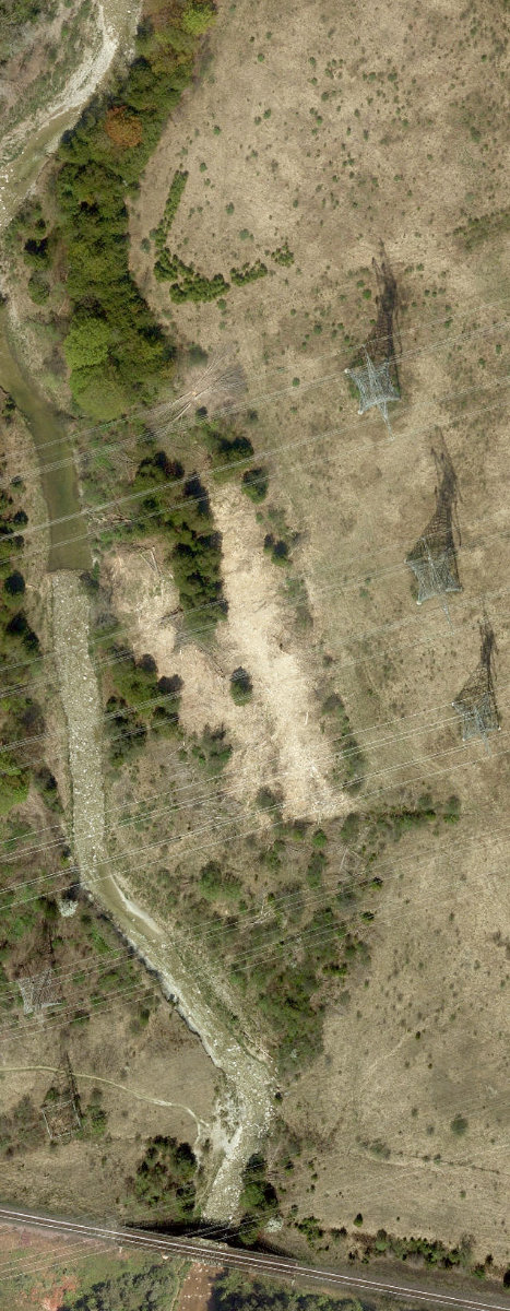 Rouge Park — site photograph