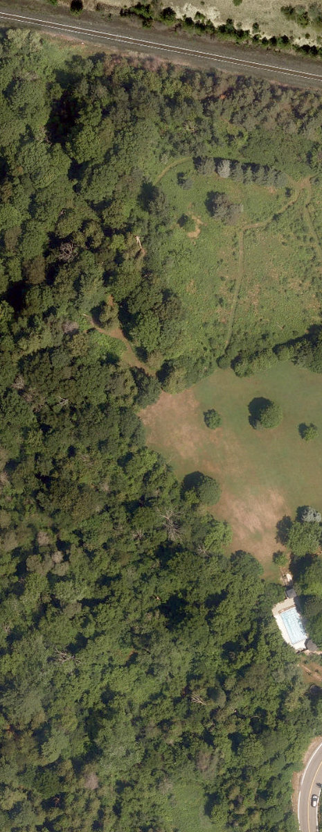 Rouge Park — site photograph