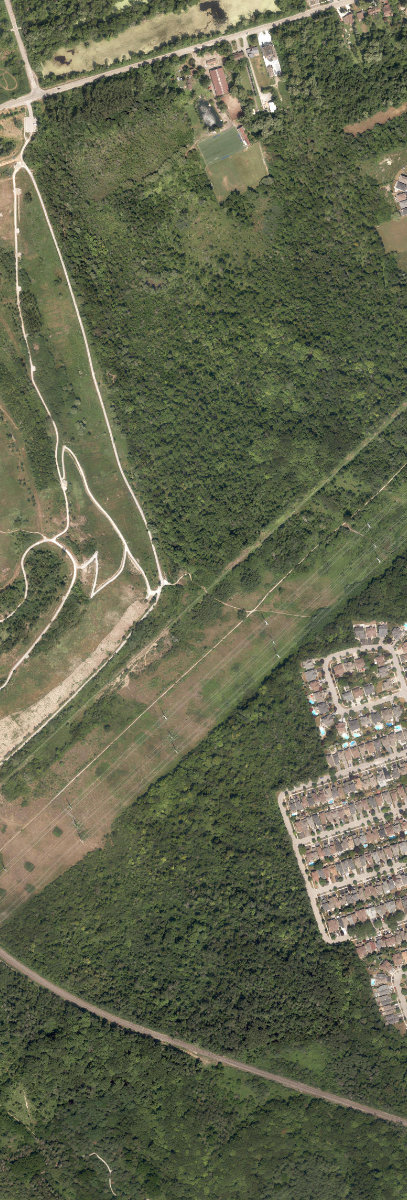 Rouge Park — site photograph