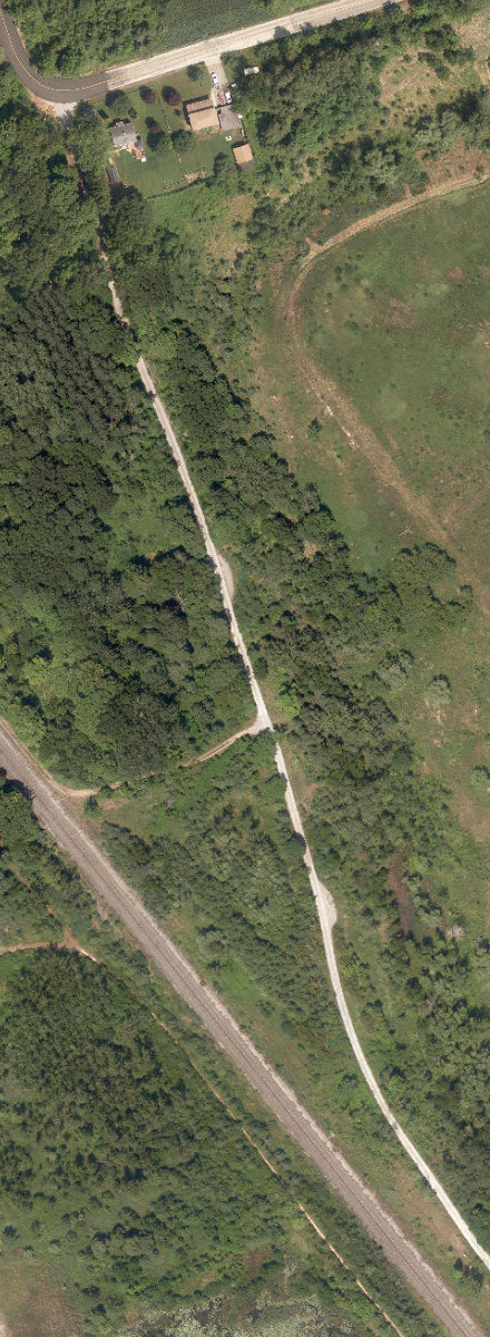 Rouge Park — site photograph