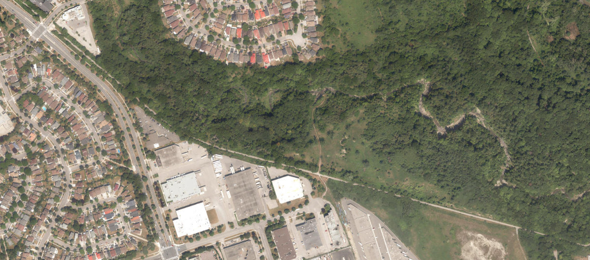 Rouge Park — site photograph