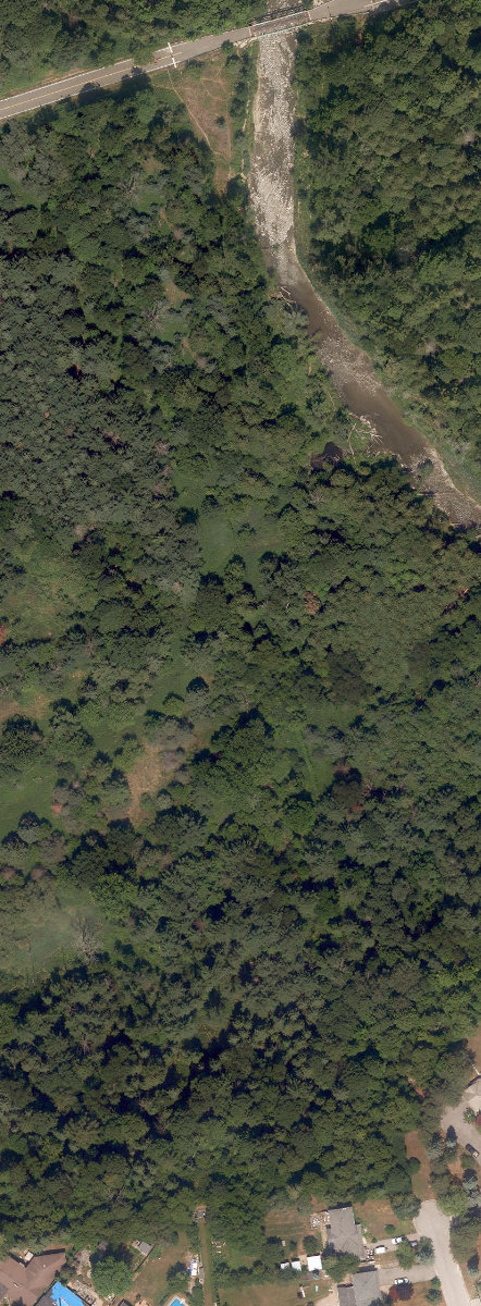 Rouge Park — site photograph
