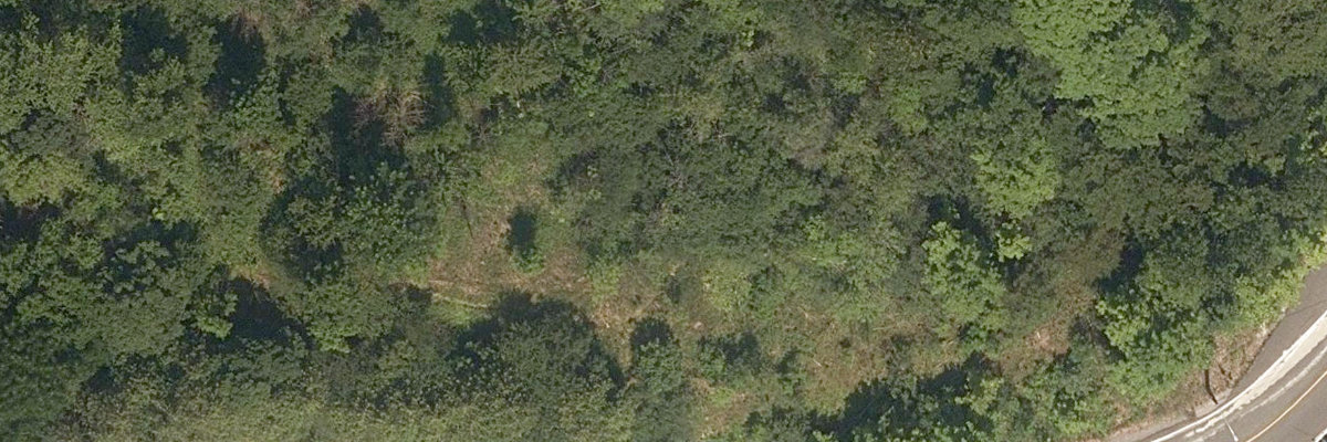 Rouge Park — site photograph