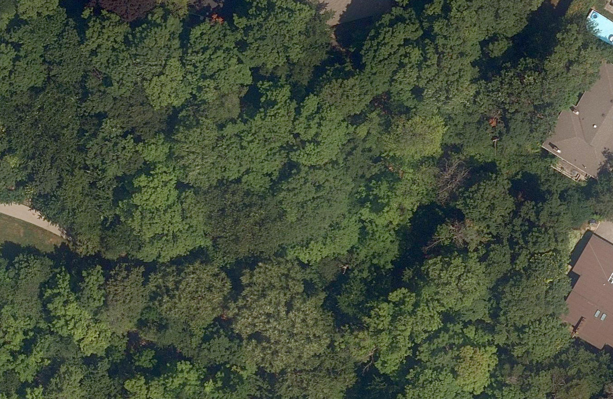 Brookbanks Park — site photograph