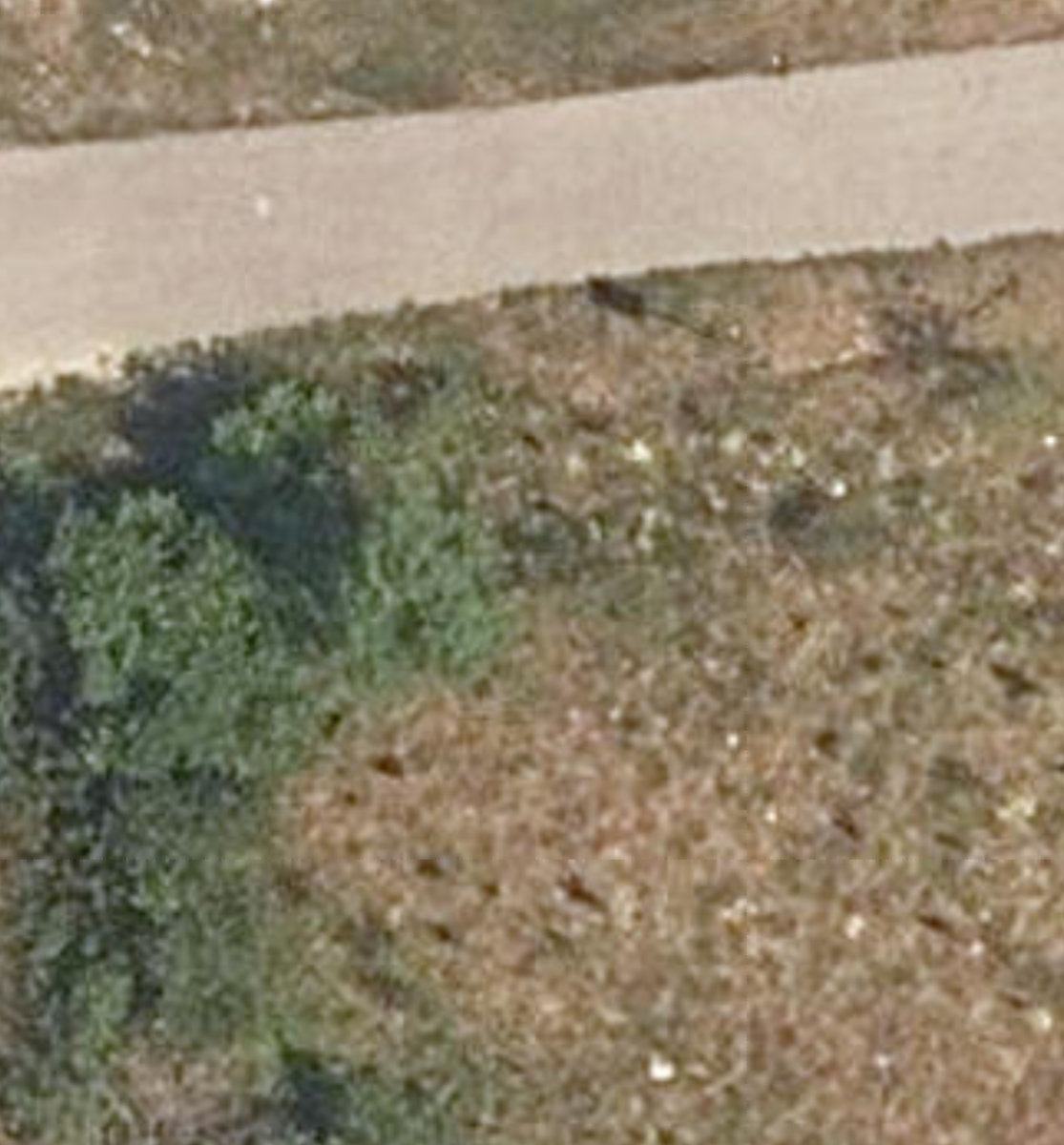 Mccowan District Park — site photograph