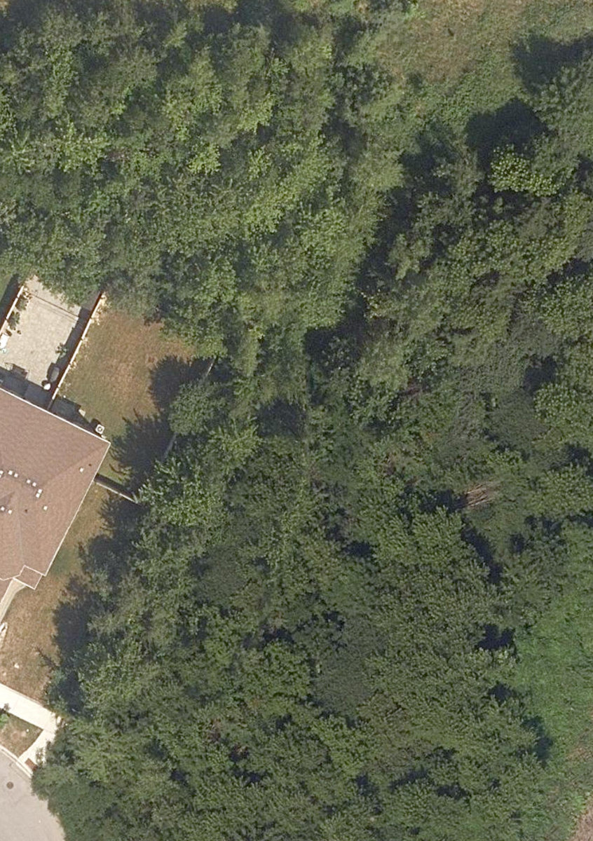 Neilson Park - Scarborough — site photograph