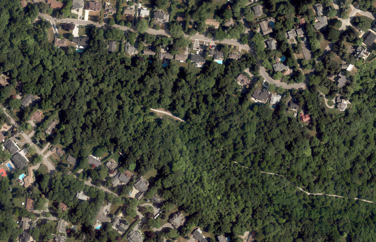 Sylvan Park - Gates Gully — site photograph