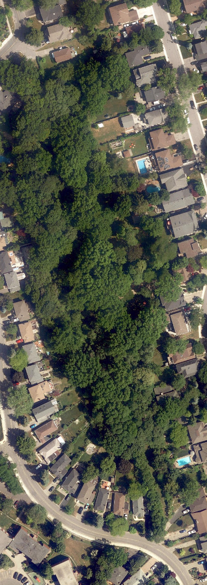 Midland Ravine — site photograph