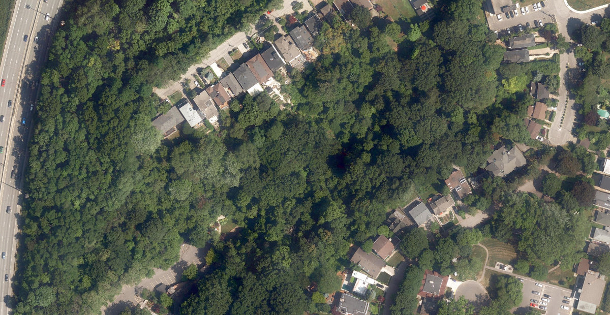 Lower Don Parklands — site photograph