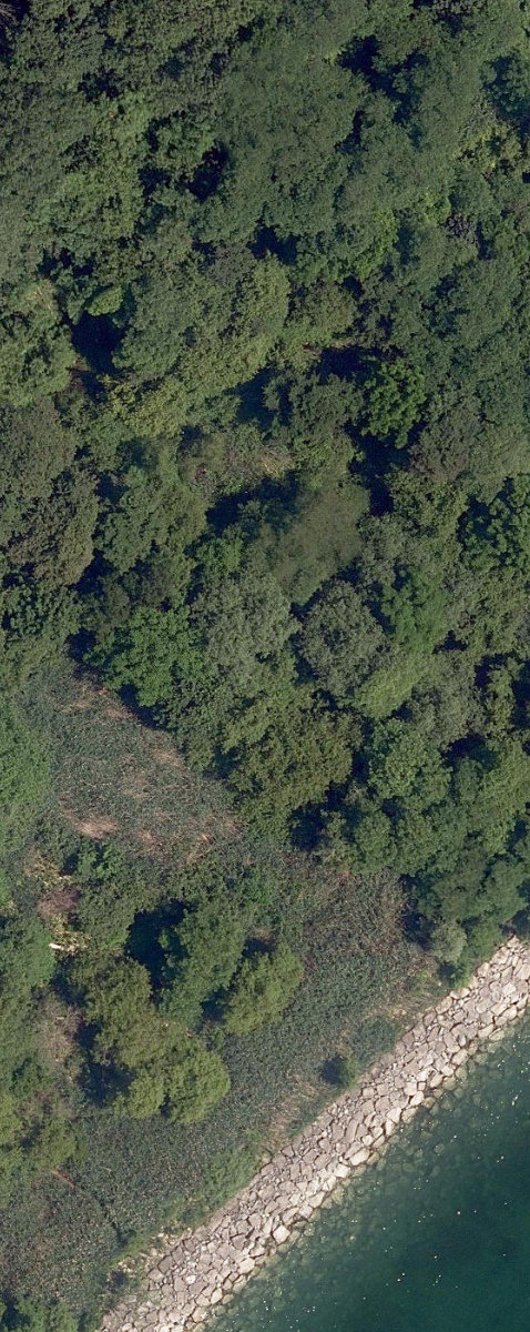Lakefront Open Lands — site photograph