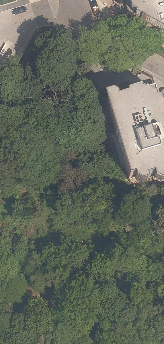 Nordheimer Ravine — aerial / top-down view
