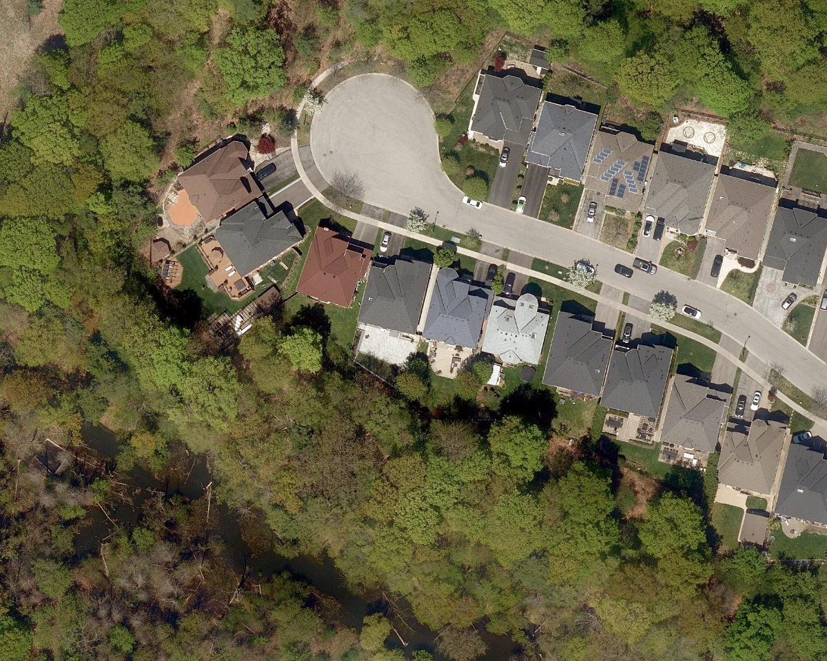 Staines Road Woodlot — site photograph