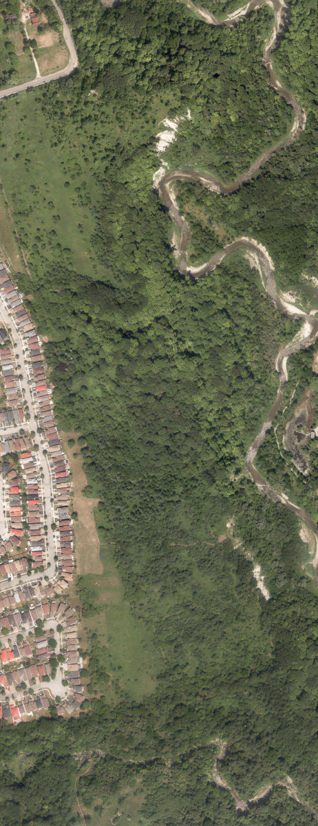 Rouge Park — site photograph