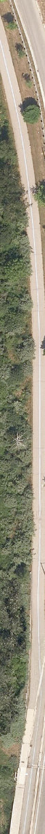 Toronto Zoo — site photograph
