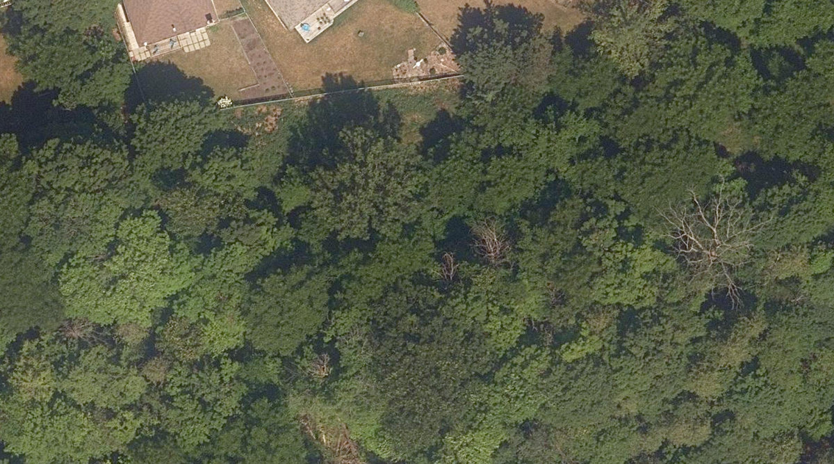 Rouge Park — site photograph
