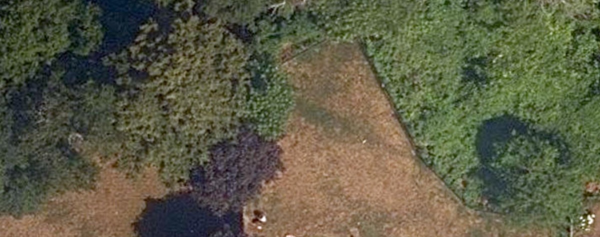 Rouge Park — site photograph