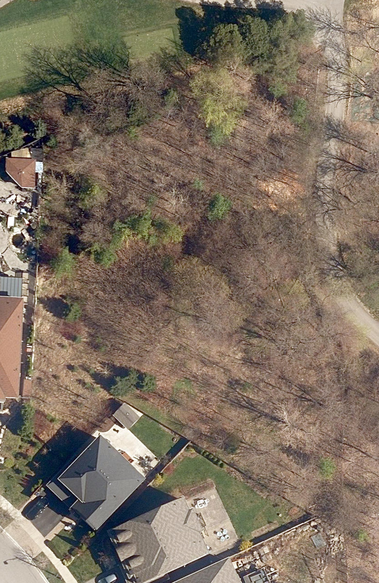 Fred Young Drive Green — site photograph