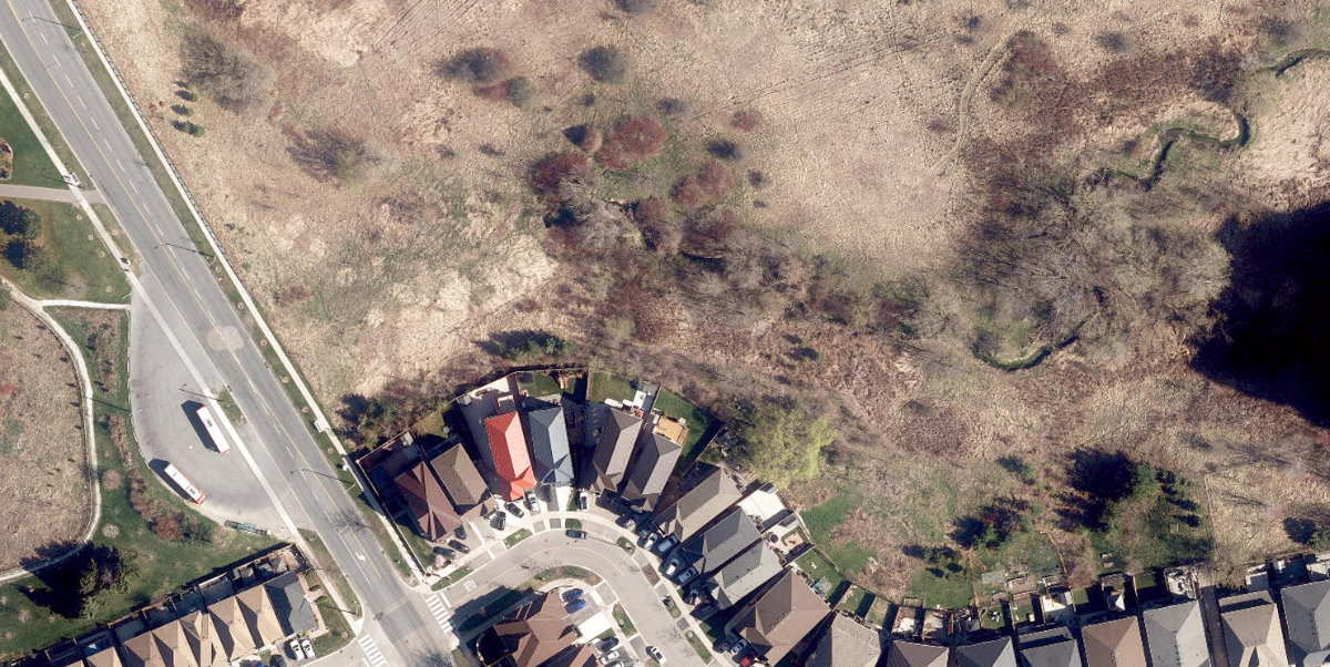 Humber Arboretum — site photograph
