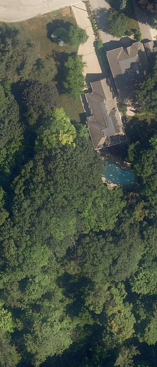 Taylor Creek Park — site photograph