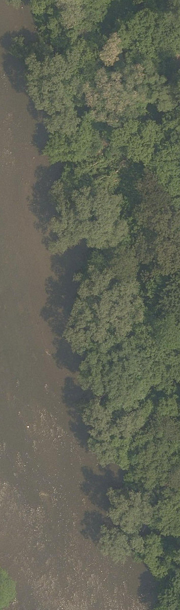Humber River Watercourse — site photograph
