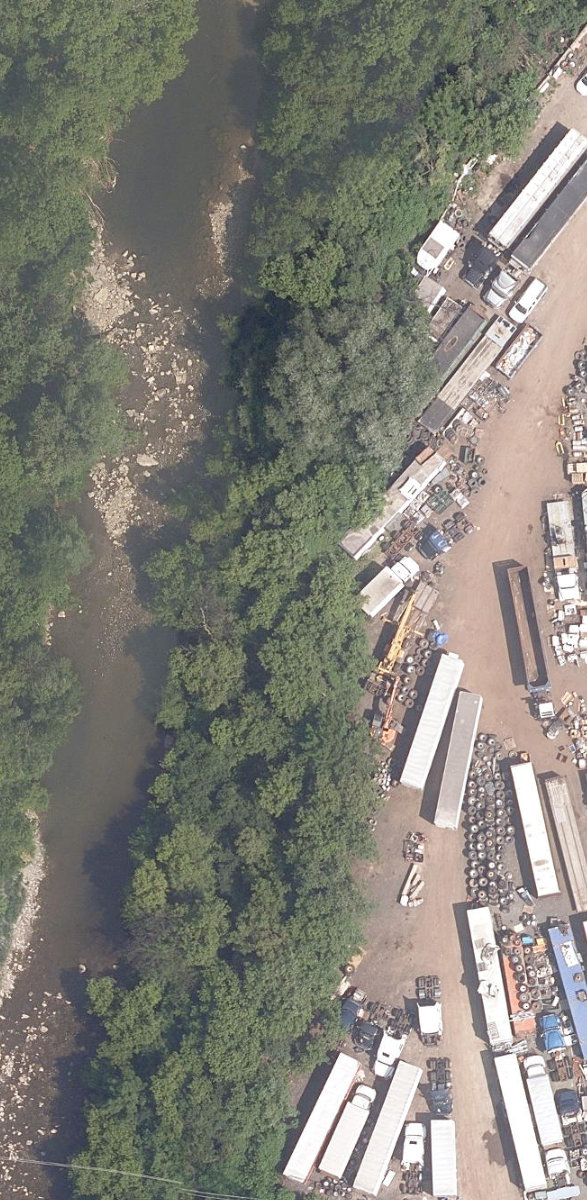 Etobicoke Creek Ravine — site photograph