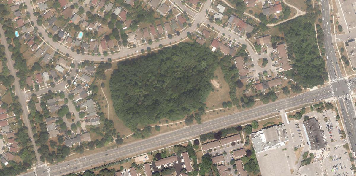 City Wide Open Space — site photograph