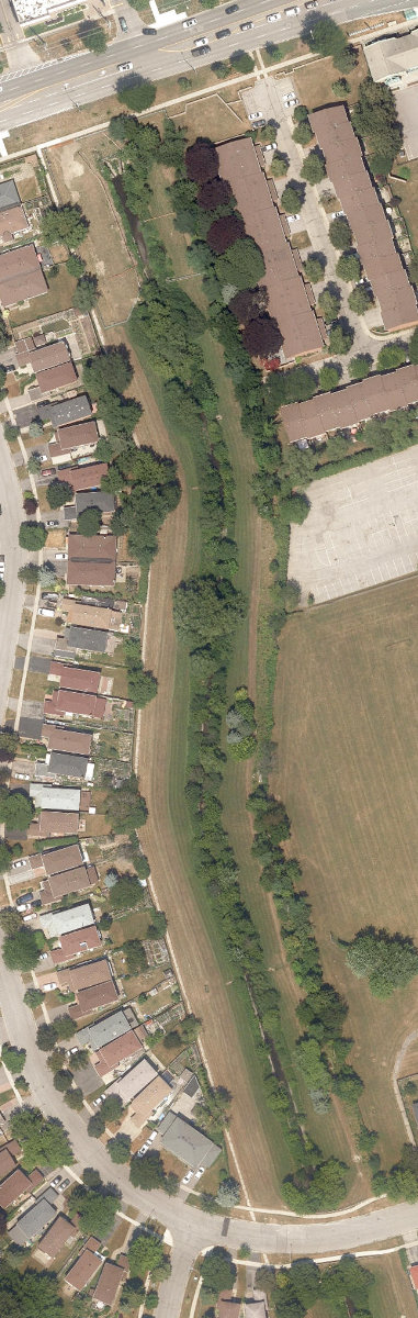 East Highland Creek Watercourse — site photograph