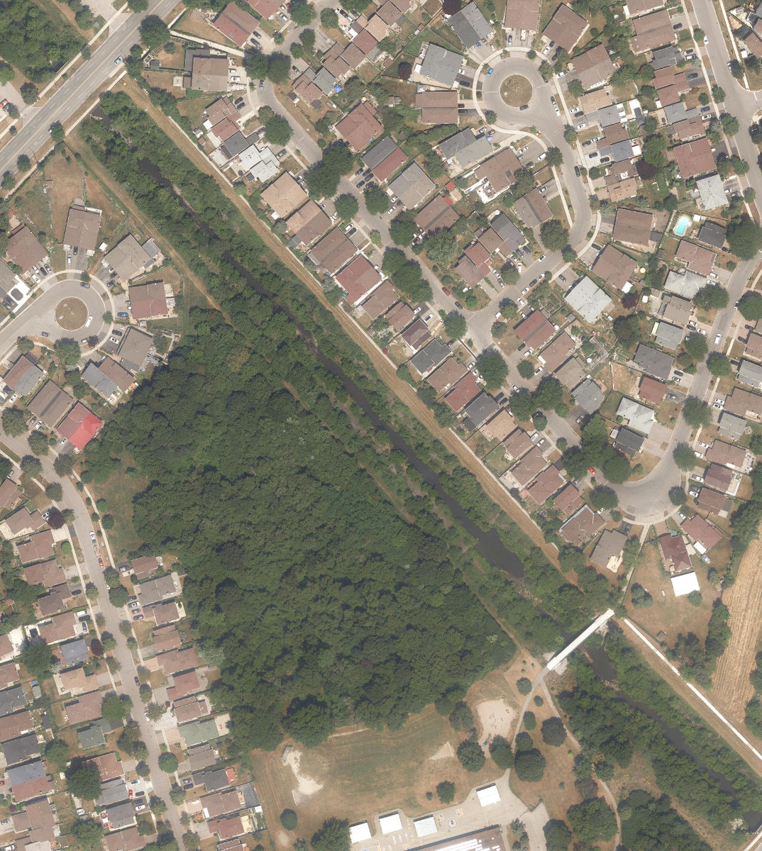 East Highland Creek Watercourse — site photograph