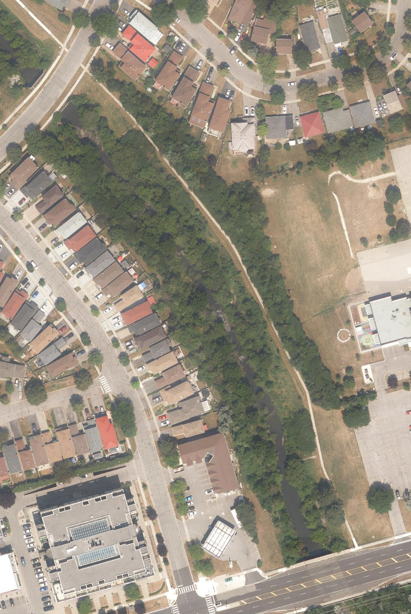 East Highland Creek Watercourse — site photograph