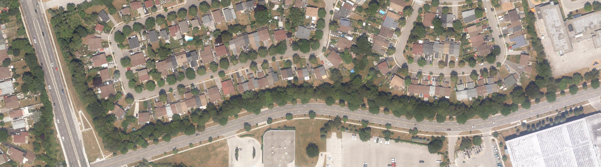 City Wide Open Space — site photograph