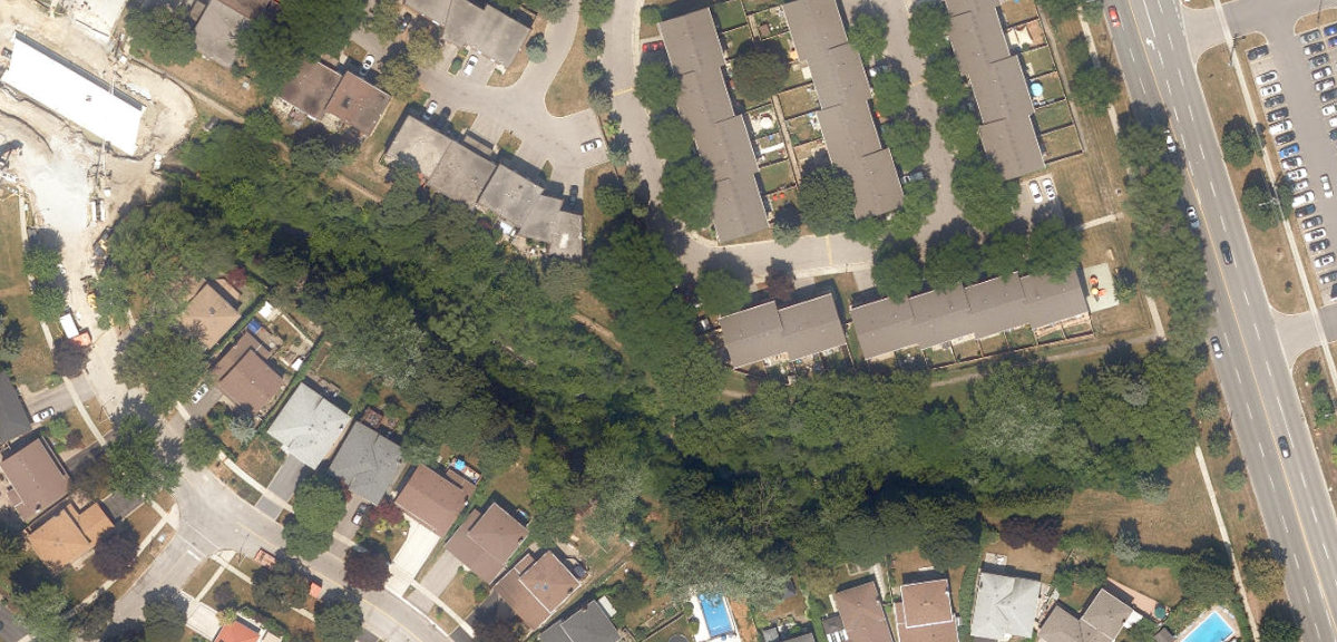 West Highland Creek Watercourse — site photograph