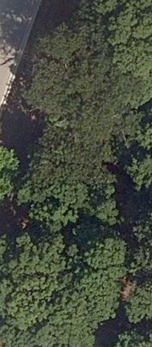 Military Trail Traffic Island — site photograph