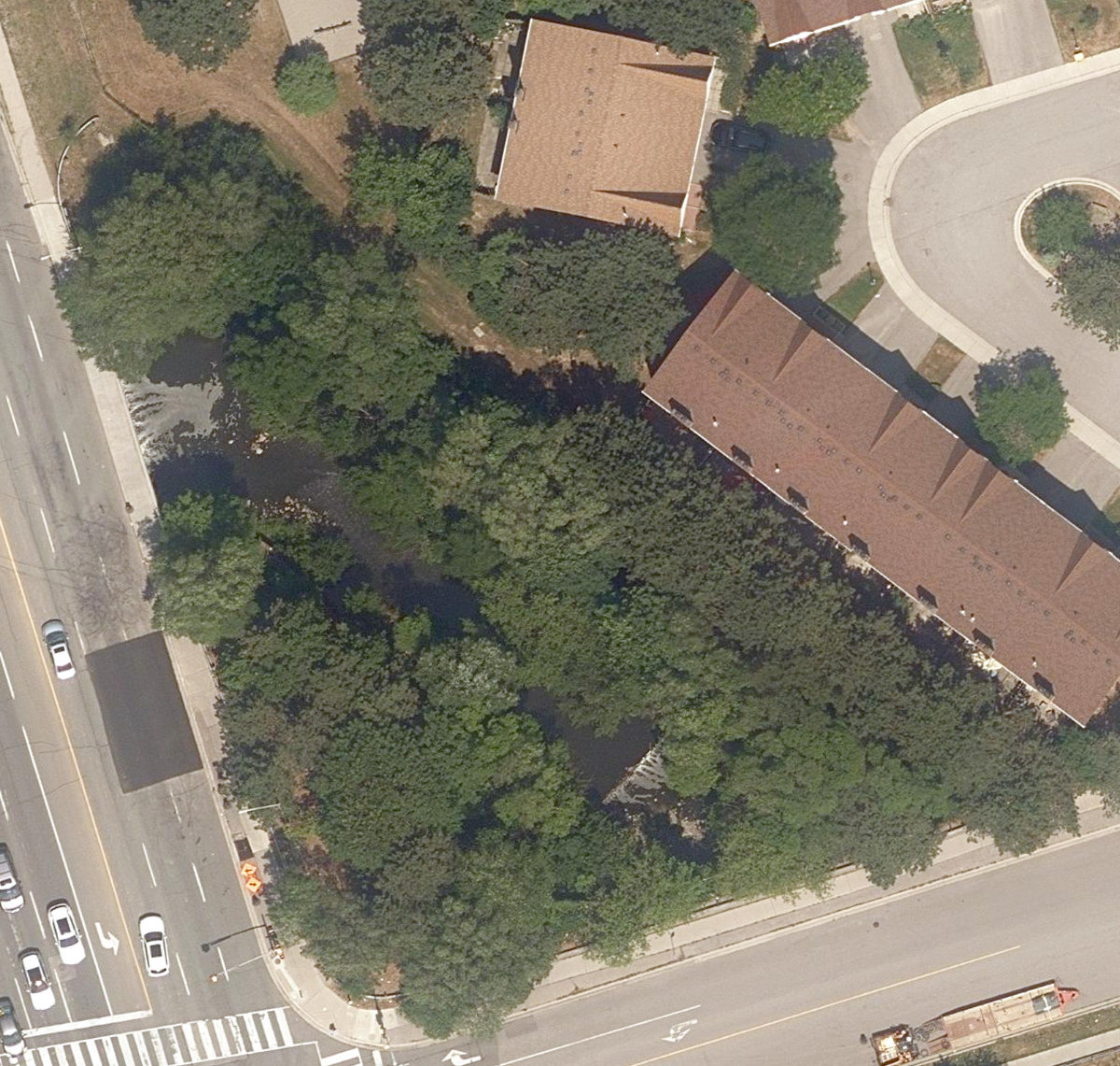 West Highland Creek Watercourse — site photograph