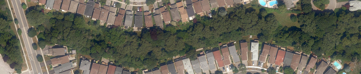 Adam'S Creek Ravine — site photograph
