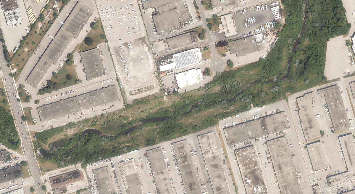 East Highland Creek Watercourse — site photograph