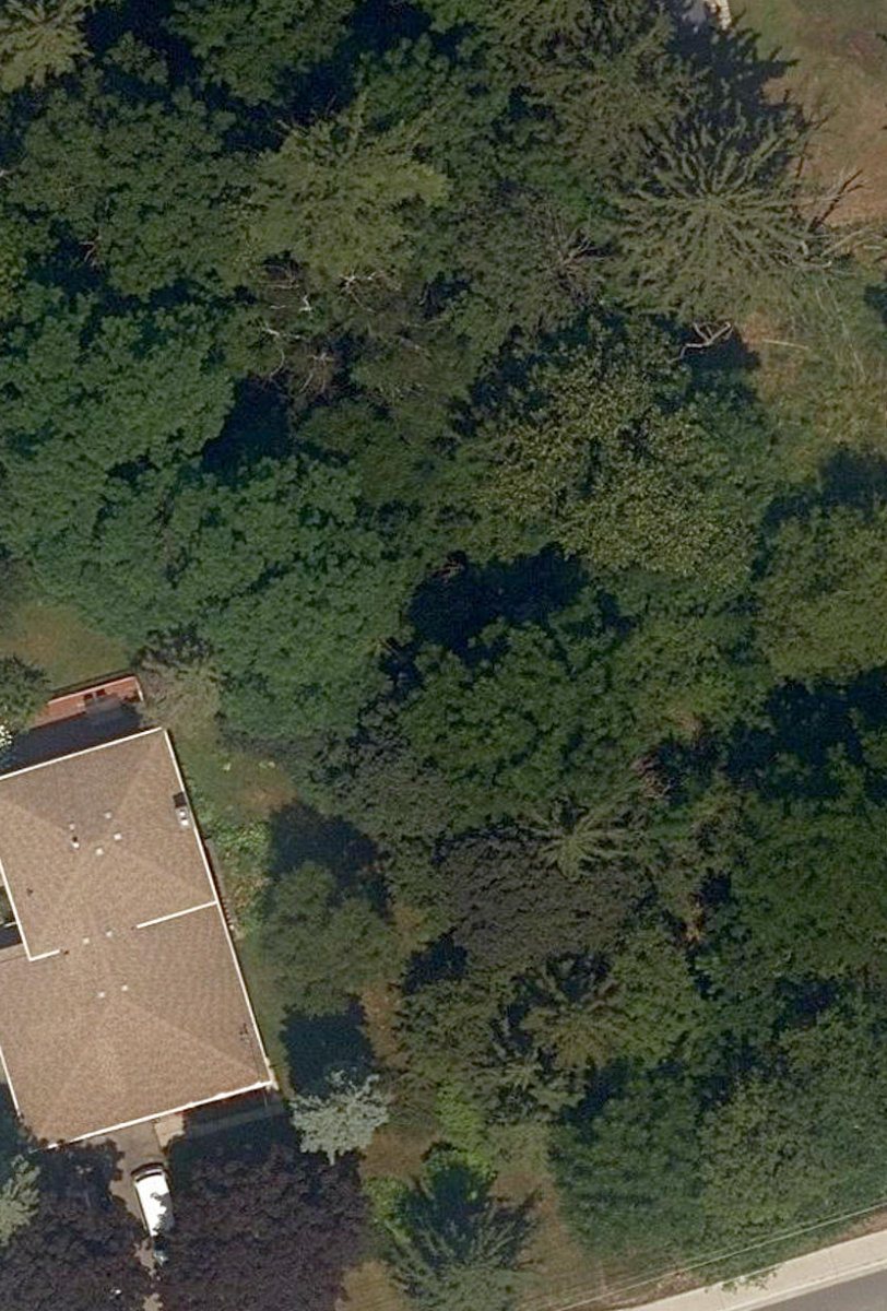 City Wide Open Space — site photograph