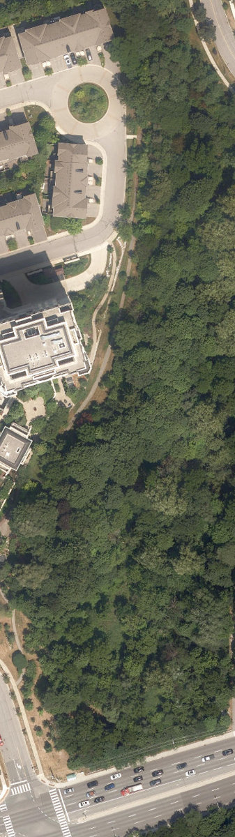Dallington Park — aerial / top-down view